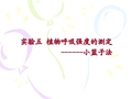 实验五_种子呼吸强度的测定