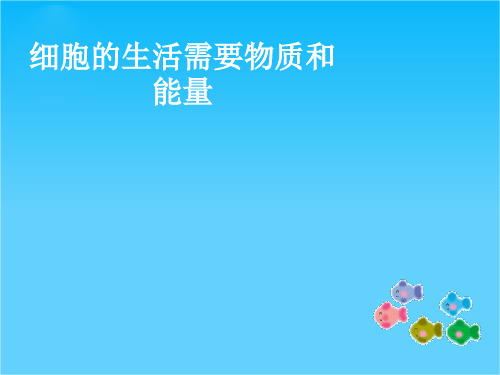 七年级生物上册 初一生物细胞的生活需要物质和能量课件 人教新课标版