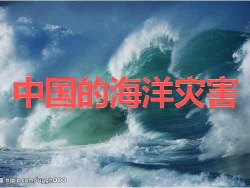 第三节中国的海洋灾害(1)汇总