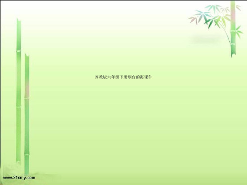 苏教版六年级下册烟台的海课件