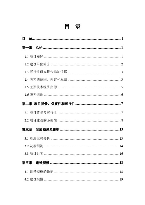 某乡镇基础设施项目建设建设可行性研究报告
