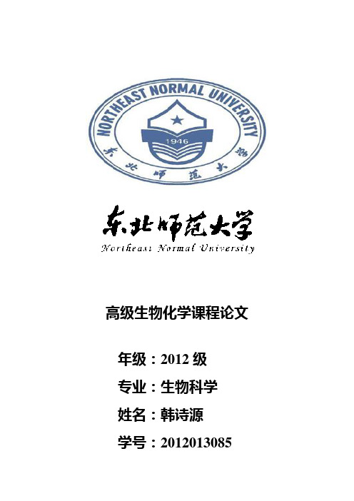 高级生化课程论文