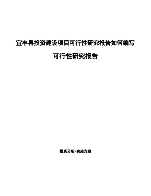宜丰县项目可行性研究报告(模板参考)