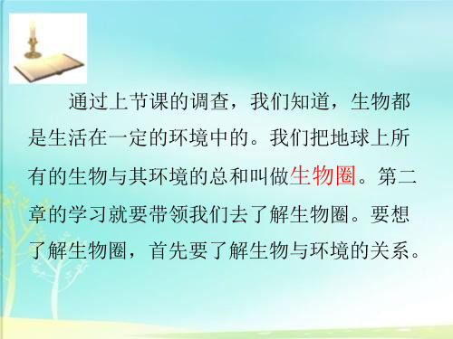 人教版七上生物第二章第一节     生物与环境的关系 课件(36张PPT)