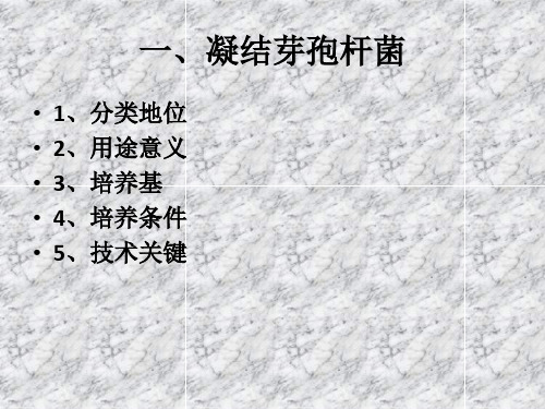 凝结芽孢杆菌