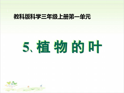 三年级上册科学-植物的叶教科版(共18张)-PPT课堂课件