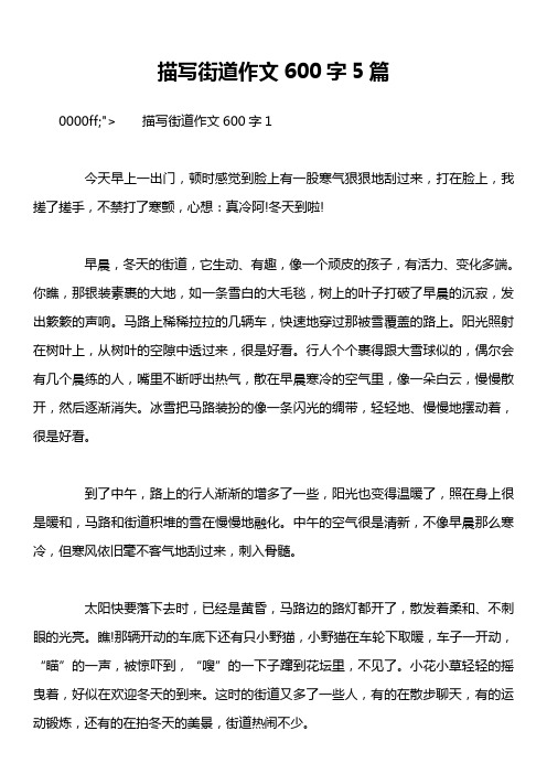 描写街道作文600字5篇