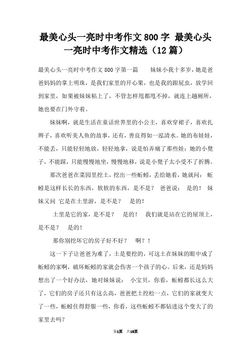 最美心头一亮时中考作文800字 最美心头一亮时中考作文精选(12篇)