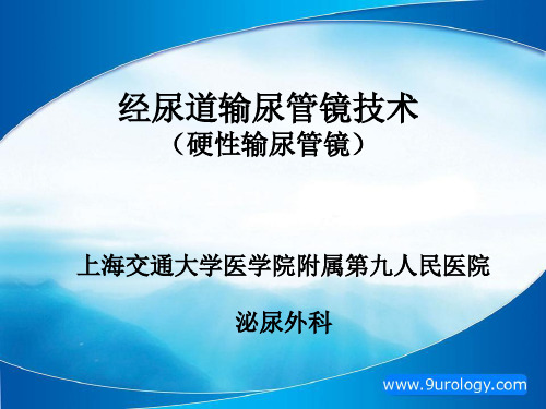 经尿道输尿管镜技术(硬性输尿管镜)