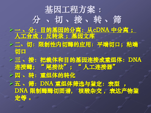 基因转移及方法