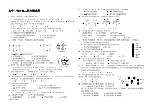 高中生物必修二期末试题及答案