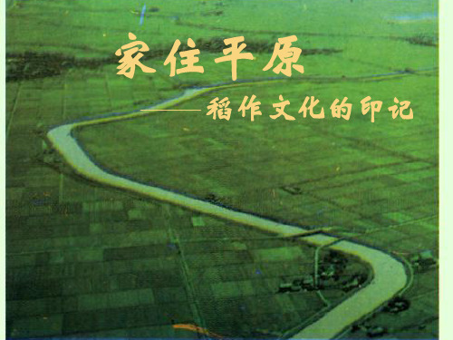 人教版七年级历史与社会上册3.1.1稻作文化的印记(共19张PPT)