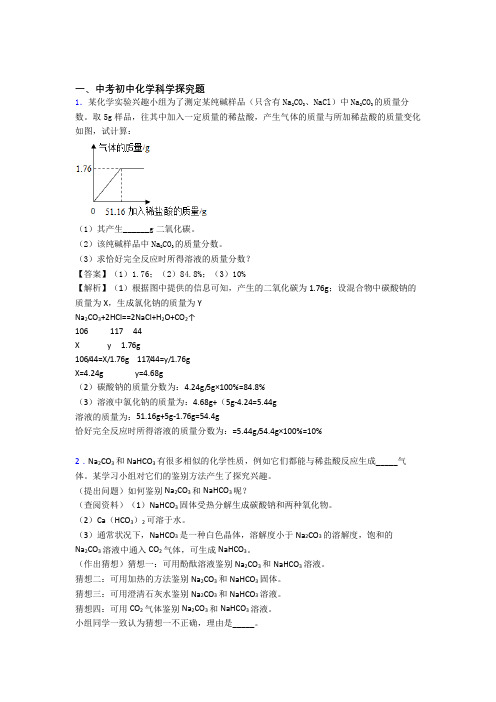 2020-2021中考化学与探究题有关的压轴题及答案