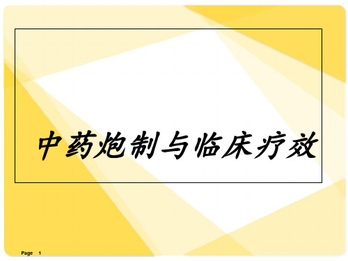 中药炮制与临床疗效  ppt课件