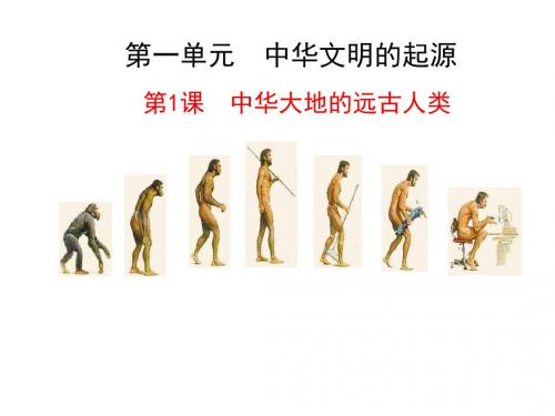 中华大地的远古人类精选公开课PPT11 北师大版