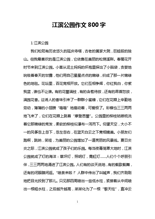 江滨公园作文800字