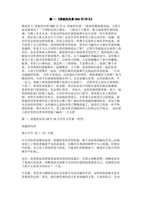 消失的风光作文800