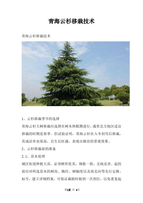 青海云杉移栽技术