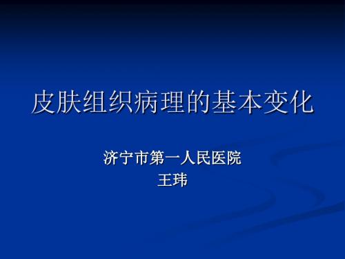 皮肤组织病理基本变化