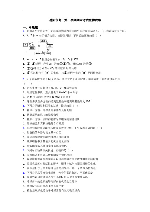 岳阳市高一第一学期期末考试生物试卷