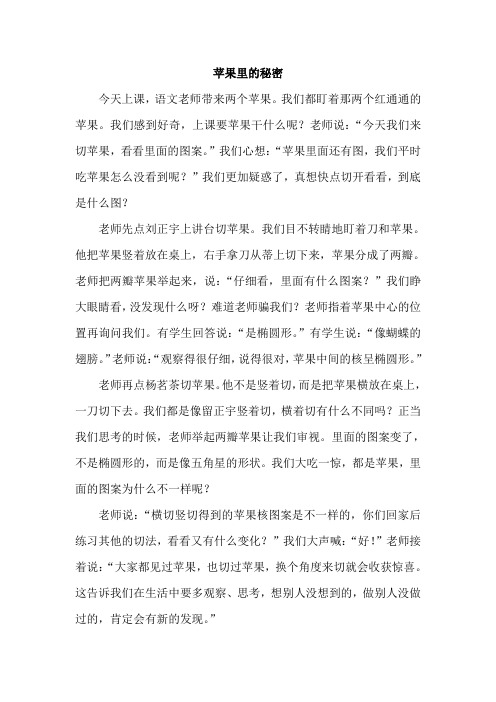 苹果里的秘密 作文