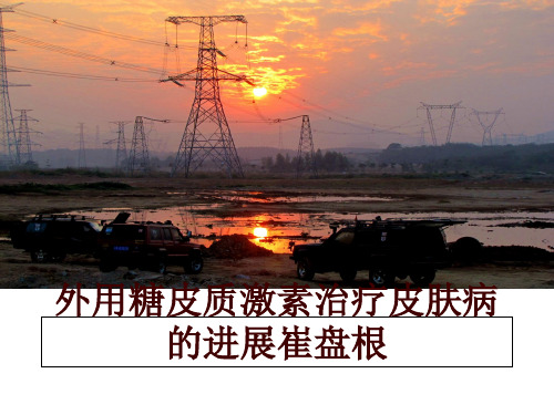 最新外用糖皮质激素治疗皮肤病的进展崔盘根ppt课件