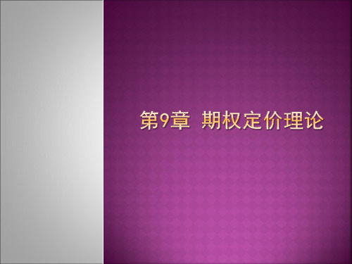 y第9章 期权定价理论