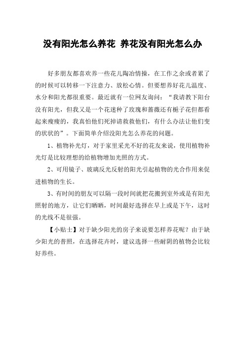 没有阳光怎么养花 养花没有阳光怎么办
