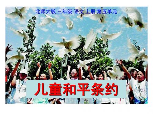 《儿童和平条约》PPT课件2 (共27张PPT)