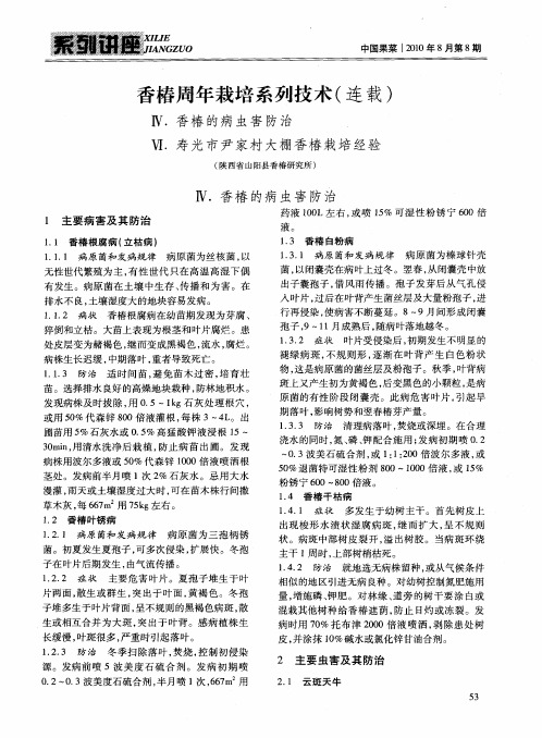 香椿周年栽培系列技术(连载)