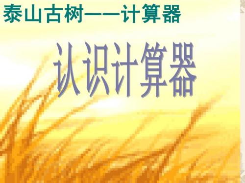 泰山古树——计算器