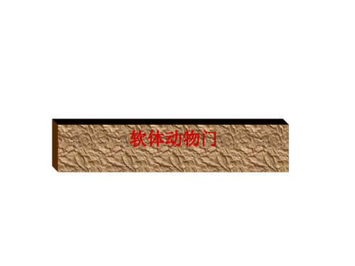 软体动物门PPT课件