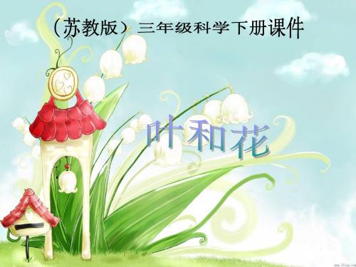 苏教版小学三年级科学《叶和花》课件(重新修改)