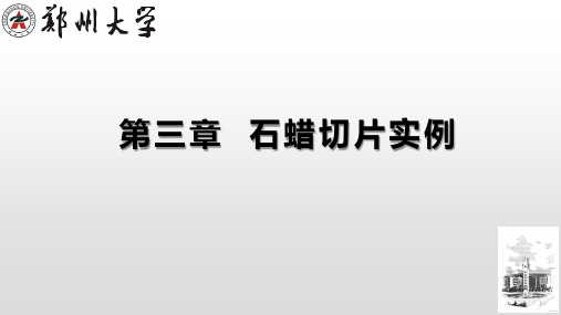 第三章  石蜡制片实例