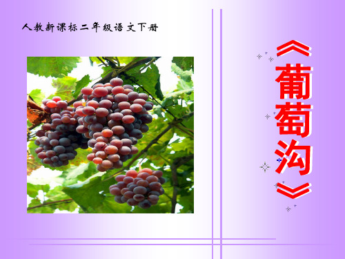 《葡萄沟》教学课件3  公开课一等奖课件