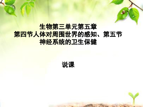 济南版焦庙说课