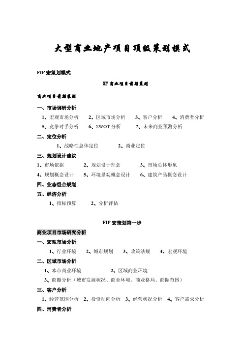 大型商业地产项目顶级策划模式概述000003)