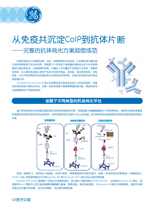 从免疫共沉淀CoIP到抗体片断