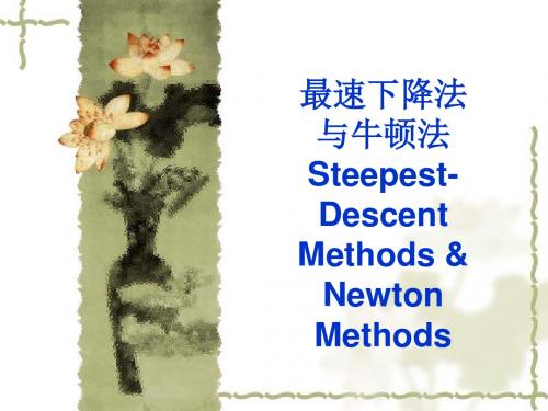 007最速下降和牛顿法-PPT文档资料