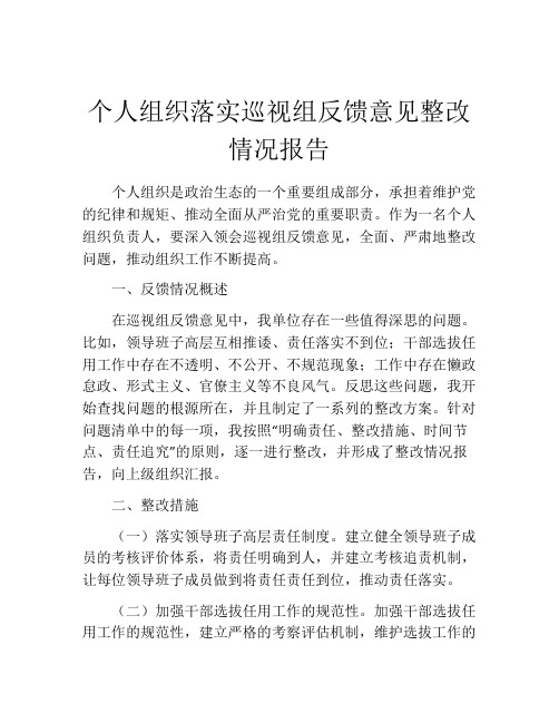 个人组织落实巡视组反馈意见整改情况报告