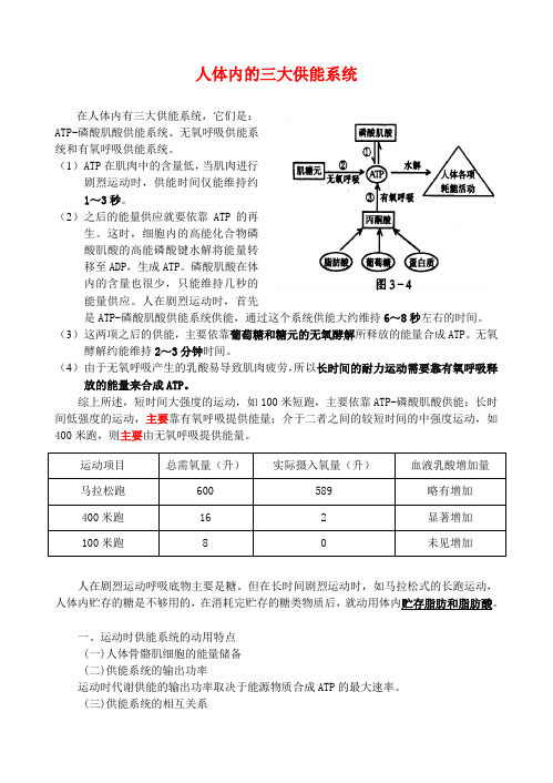 人体三大供能系统