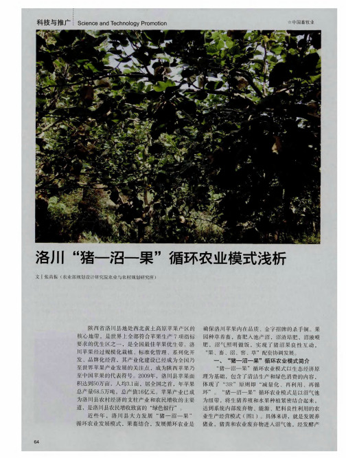 洛川“猪—沼—果”循环农业模式浅析