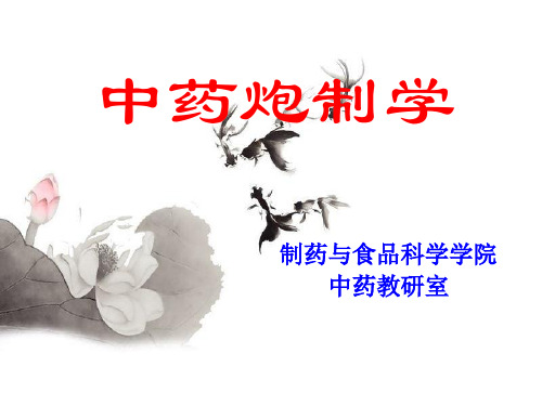 中药炮制学第01章绪论