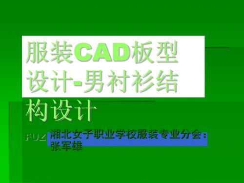 服装CAD板型设计-男衬衫结构设计