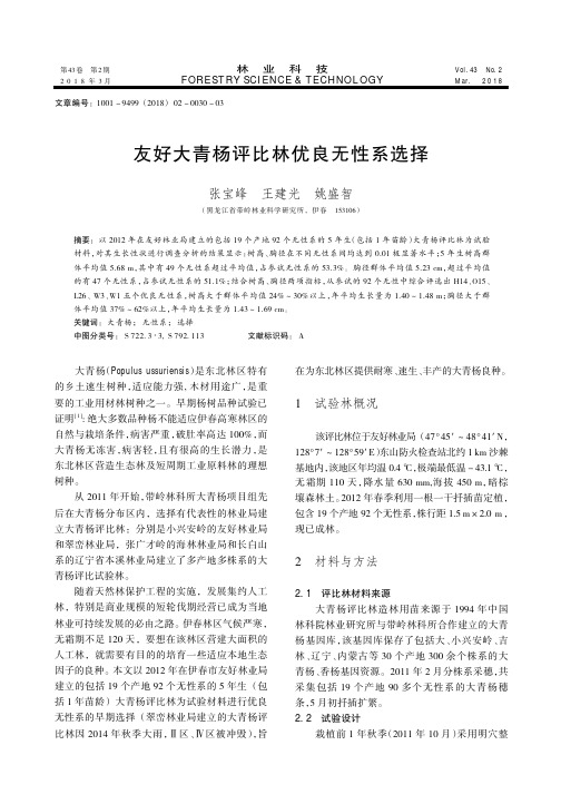 友好大青杨评比林优良无性系选择