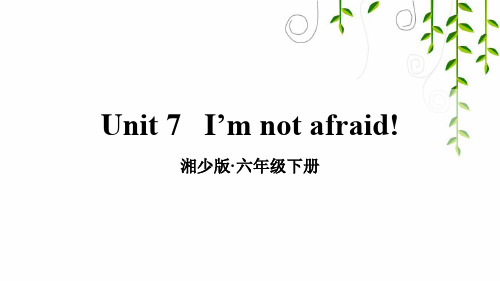 湘少版六年级英语下册unit 7 I'm not afraid