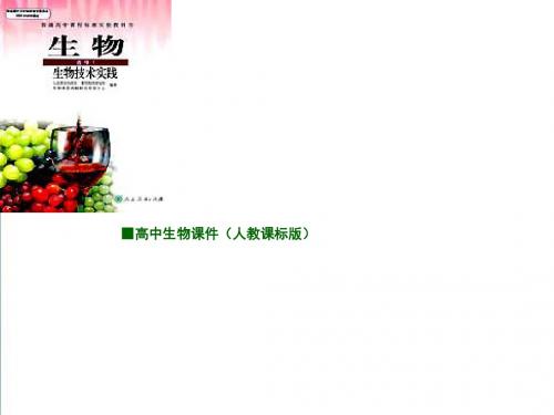 【人教版】生物选修一：3.1《菊花的组织培养》ppt课件