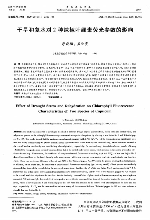 干旱和复水对2种辣椒叶绿素荧光参数的影响