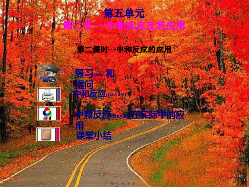 九年级化学 《第五单元中和反应二》课件