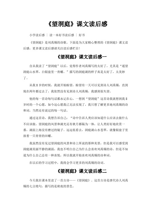 最新-《望洞庭》课文读后感 精品